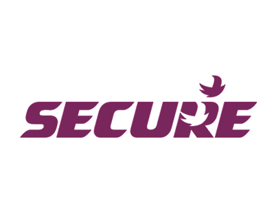 Secure Logo